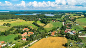 Pieczarki - zdjęcie 3