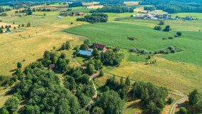 Pieczarki - zdjęcie 2