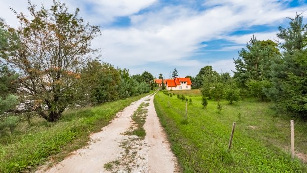 Pieczarki - zdjęcie 31