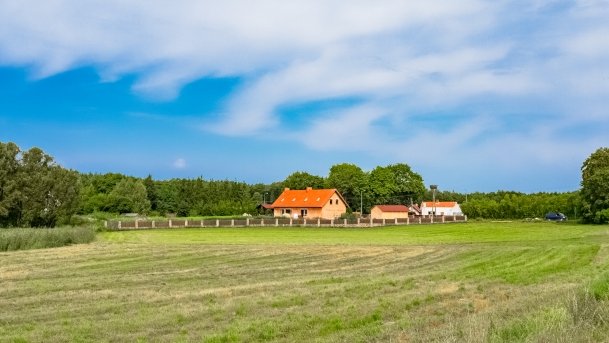 Pieczarki - zdjęcie 28