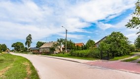 Pieczarki - zdjęcie 53