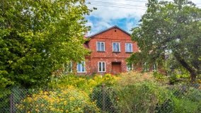 Pieczarki - zdjęcie 52