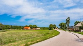 Pieczarki - zdjęcie 51