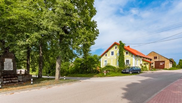 Pieczarki - zdjęcie 23