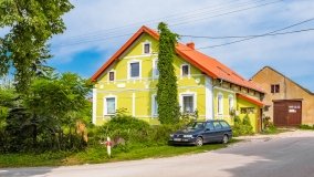 Pieczarki - zdjęcie 49