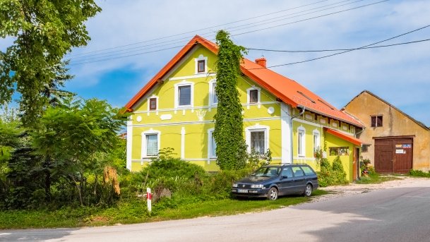 Pieczarki - zdjęcie 22