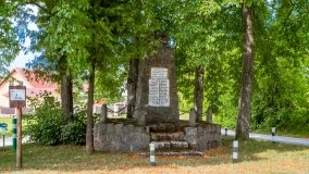 Pieczarki - zdjęcie 48