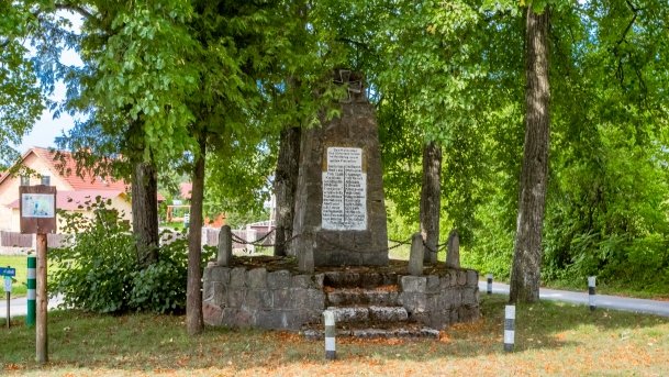 Pieczarki - zdjęcie 21