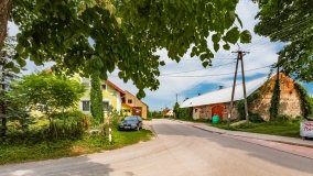 Pieczarki - zdjęcie 47