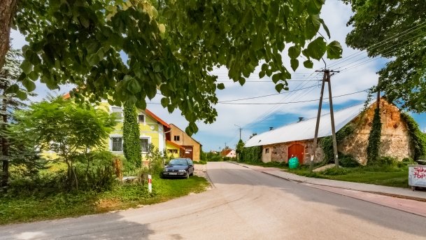 Pieczarki - zdjęcie 20