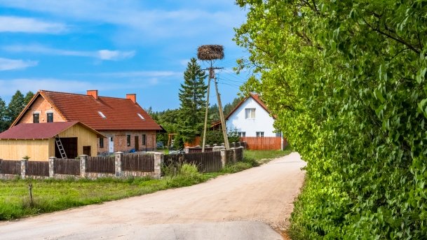 Pieczarki - zdjęcie 19