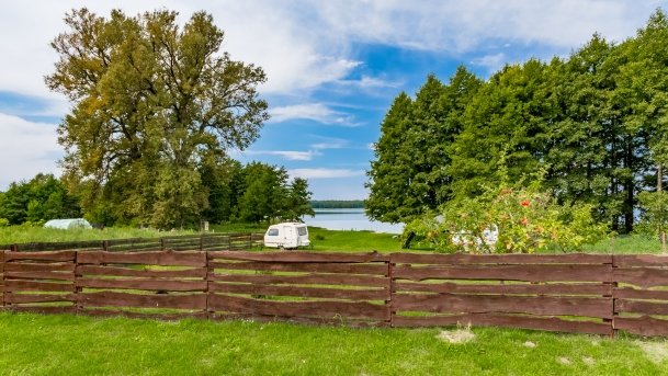 Pieczarki - zdjęcie 18