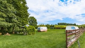 Pieczarki - zdjęcie 41