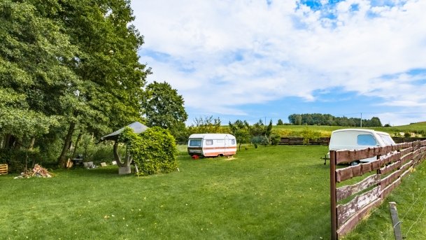 Pieczarki - zdjęcie 14