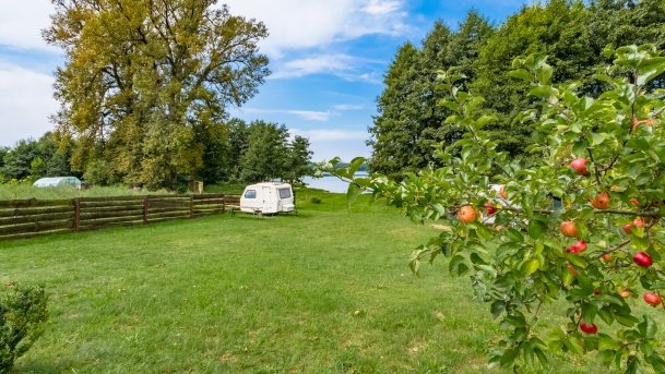 Pieczarki - zdjęcie 13