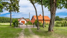 Pieczarki - zdjęcie 39