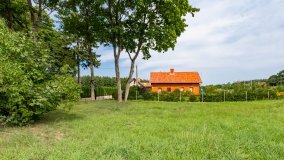 Pieczarki - zdjęcie 38