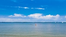 Pieczarki - zdjęcie 33