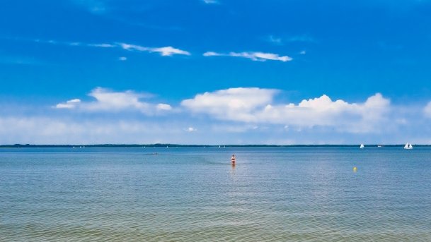 Pieczarki - zdjęcie 6