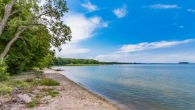 Pieczarki - zdjęcie 32