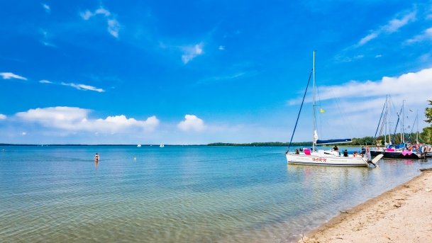 Pieczarki - zdjęcie 4