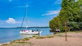 Pieczarki - zdjęcie 30