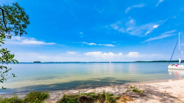 Pieczarki - zdjęcie 1