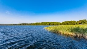 jezioro Kirsajty - zdjęcie 50