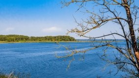 jezioro Dargin - zdjęcie 175