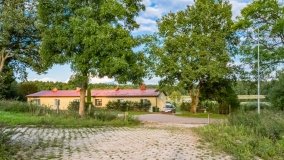 Pniewo - zdjęcie 17