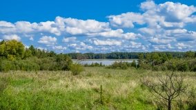 Pniewo - zdjęcie 11