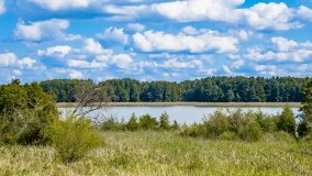 jezioro Pniewskie - zdjęcie 33