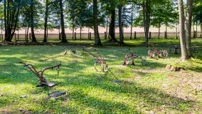 Kietlice - zdjęcie 43