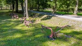 Kietlice - zdjęcie 42