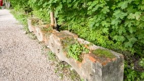 Sztynort - zdjęcie 13