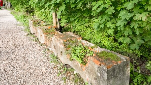 Sztynort - zdjęcie 11