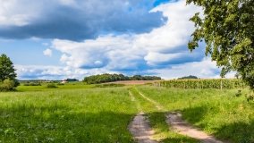 Jerzykowo - zdjęcie 5