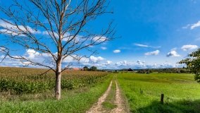 Radzieje - zdjęcie 37