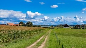 Radzieje - zdjęcie 36