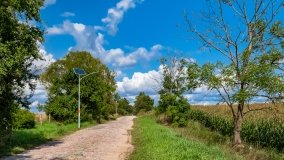 Radzieje - zdjęcie 35