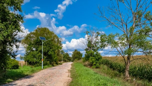 Radzieje - zdjęcie 35