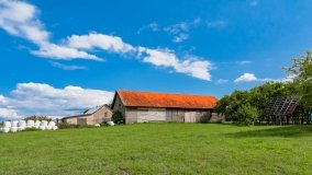 Radzieje - zdjęcie 33