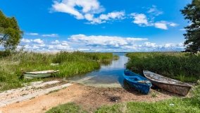 Radzieje - zdjęcie 31