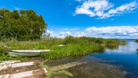 Radzieje - zdjęcie 30