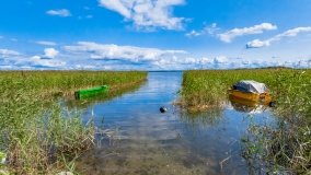 Radzieje - zdjęcie 28