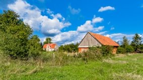 Radzieje - zdjęcie 25