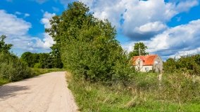 Radzieje - zdjęcie 24