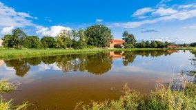 Radzieje - zdjęcie 17