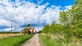 Radzieje - zdjęcie 13