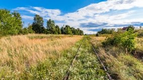 Radzieje - zdjęcie 10